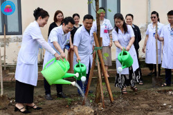 BỆNH VIỆN TÂM THẦN NGHỆ AN PHÁT ĐỘNG “TẾT TRỒNG CÂY ĐỜI ĐỜI NHỚ ƠN BÁC HỒ” – XUÂN BÍNH NGỌ 2026
